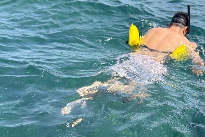 Glass bottom Boat Tour and Snorkeling Experience in Montego Bay - Who Should Book This Tour?