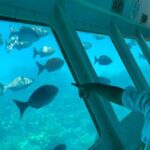 Glass Bottom Boat Tour and West Bay Beach - The Glass Bottom Boat Experience