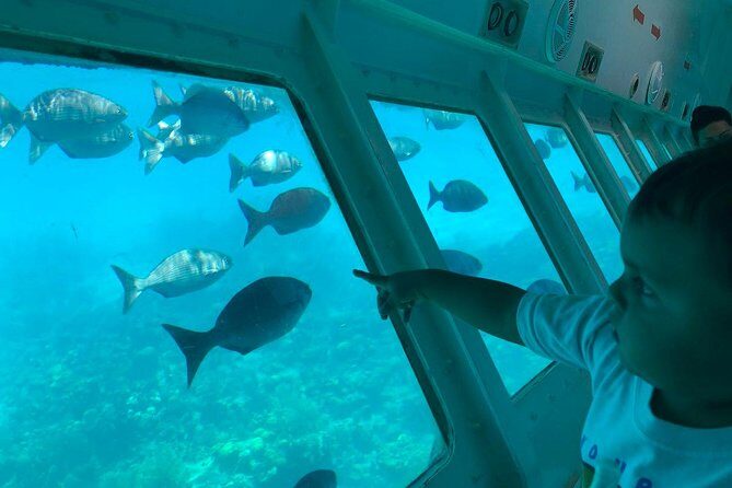 Glass Bottom Boat Tour and West Bay Beach - The Glass Bottom Boat Experience