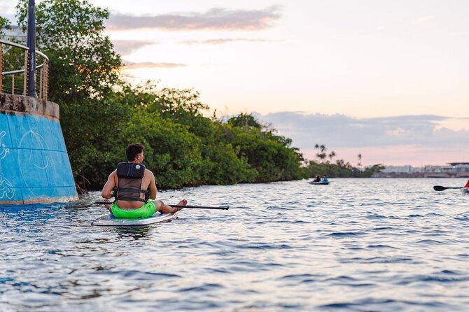 Glass Bottom SUP Rentals at Condado Lagoon - Final Thoughts
