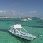 GlassBottom Catamaran with Slide - An In-Depth Look at the Tour