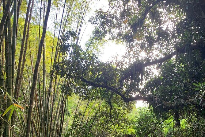 Glide into adventure: Hiking and natural slides - Exploring the Experience in Detail