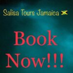 Glisten Waters, Horseback, Blue Hole Transportation Only - Exploring the Itinerary and Experience