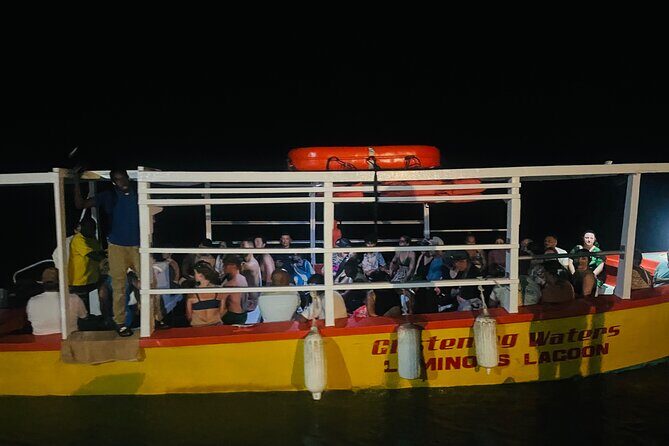 Glistening Waters Luminous Lagoon Night tour with swim option - Who Should Consider This Tour?