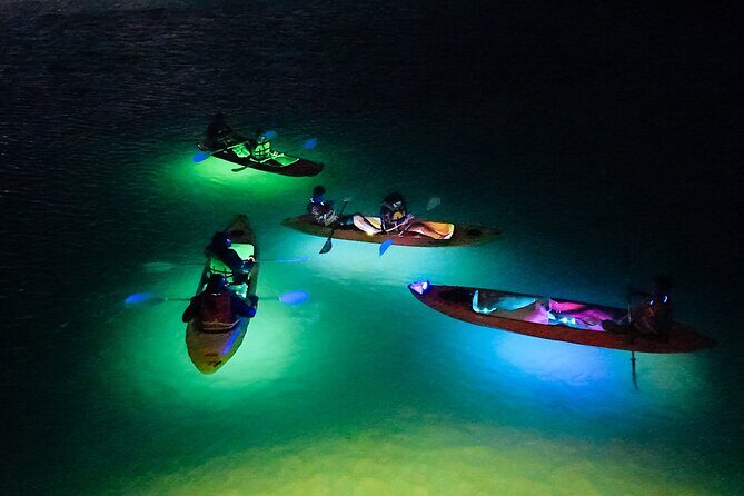 Glow Through the Night with LED Kayak Adventure in Aruba - The Itinerary: What Happens During the Tour