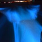 Glow with the Flow: A Romantic Night at the Luminous Lagoon) - An In-Depth Look at the Luminous Lagoon Night Tour