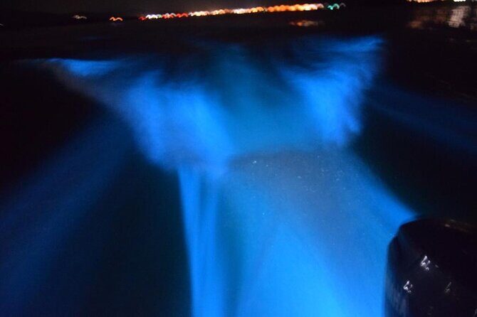 Glow with the Flow: A Romantic Night at the Luminous Lagoon) - An In-Depth Look at the Luminous Lagoon Night Tour