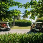 Golf Cart Eco Tour Half Day Tour - Who Would Love This Tour?