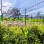 Golf Cart Eco Tour Half Day Tour - FAQ