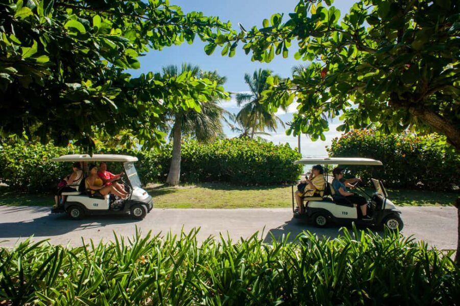 Golf Cart Eco Tour Half Day Tour - Who Would Love This Tour?