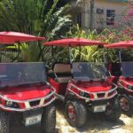 Golf Cart Rental by Group 3-4seater - What to Expect When Renting Your Golf Cart