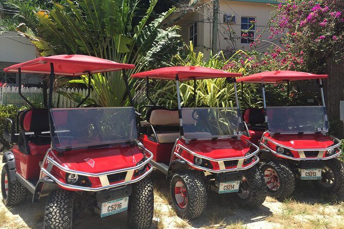 Golf Cart Rental by Group 3-4seater - What to Expect When Renting Your Golf Cart