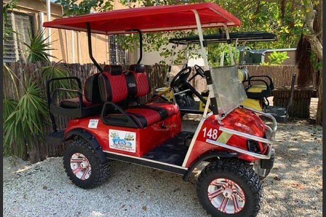 Golf Cart Rental by Group of 2 - 4 Seater - Key Points