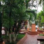 Goodman's Island Style Roatan Highlights Tour - A Closer Look at the Roatan Highlights Tour