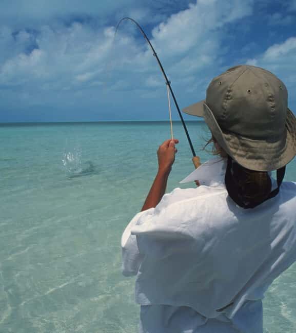 Grand Bahama Island: Bottom Fishing Excursion - The Value of This Experience