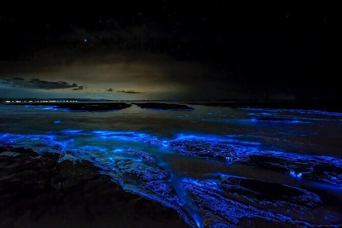 Grand Cayman Bioluminescence Experience - Who Should Consider This Tour?
