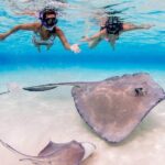Grand Cayman Stingray City and Reef Snorkeling Combo Tour - Practical Tips for Travelers