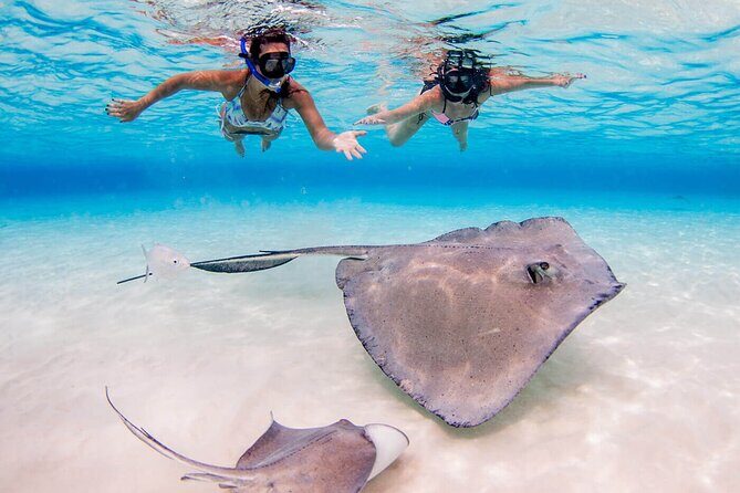 Grand Cayman Stingray City and Reef Snorkeling Combo Tour - Practical Tips for Travelers