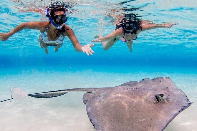 Grand Cayman Stingray City Sandbar Adventure - Why It’s a Great Choice for Certain Travelers