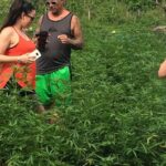 Grand Palladium from MBJ Airport - The Experience: Comfort and Convenience from the Airport to Grand Palladium