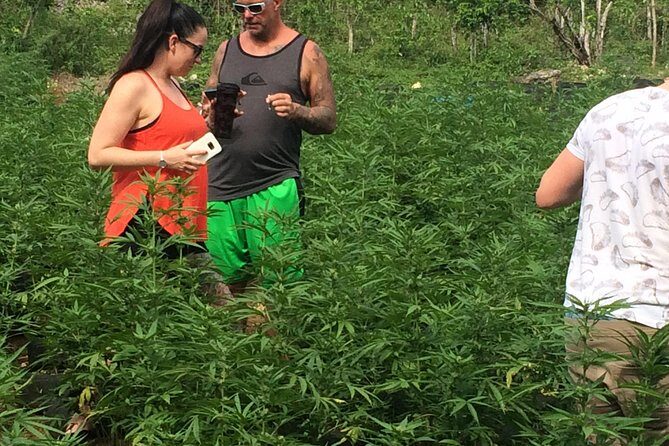 Grand Palladium from MBJ Airport - The Experience: Comfort and Convenience from the Airport to Grand Palladium