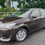 Grand Palladium Jamaica Airport Private Transport - FAQ