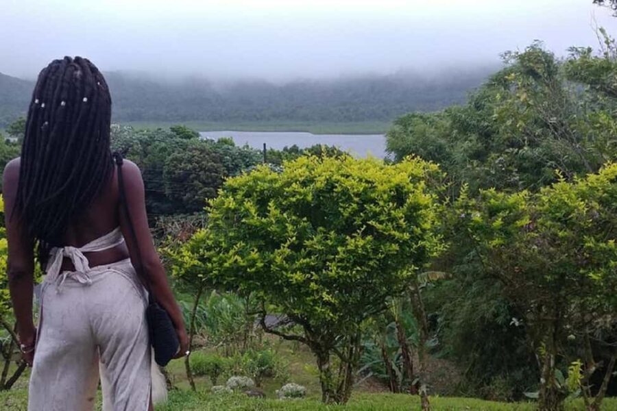 Grand Tours Grenada Call the Boss Taxi Luxurious Island Tour - How the Tour Works: Logistically and Practically