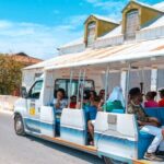 Grand Turk; Bus Tram Tour w/ Lunch & Beach Stop - Who Should Take This Tour?