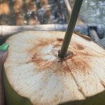 Great River Bamboo Rafting at Lethe from Montego Bay - A Deep Dive into the Great River Bamboo Rafting Experience