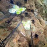 Green Grotto Caves Tour and Transportation - A Deep Dive into the Green Grotto Caves Experience