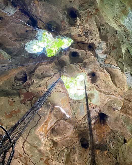 Green Grotto Caves Tour and Transportation - A Deep Dive into the Green Grotto Caves Experience