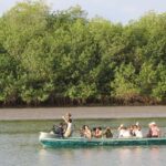 Green treasure: National Mangrove Sanctuary, Tumbes - Why This Tour Offers Real Value