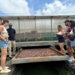 Grenada: Belmont Estate Tree to Bar Chocolate Workshop - Harvesting and Opening Pods