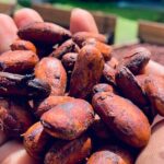 Grenada City Tour, Spice Market, Chocolate, Fort Frederick - Authentic Experiences and Genuine Value