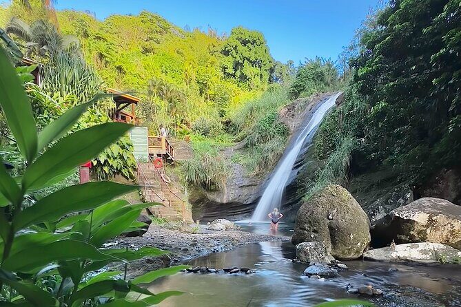 Grenada Day Tour-Concord Falls, Chocolate, Rum & Grand Etang Lake - Exploring Grenada’s Natural and Cultural Gems
