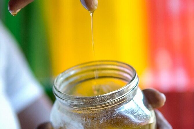 Grenada Full-Day Tour: Sulphur Springs, Rum , Lake & Chocolate - A Deep Dive into the Grenada Full-Day Tour