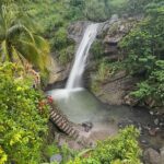 Grenada Half Day Tour: Fort, Spice, Falls, Chocolate & Lunch Stop - A Close Look at the Grenada Half Day Tour