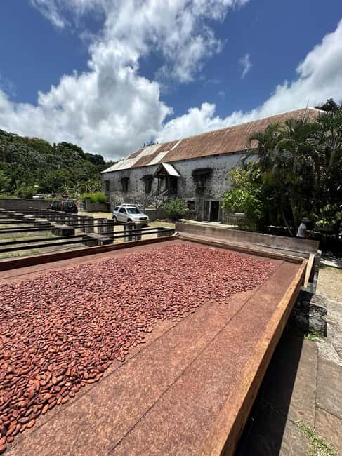 Grenada Half Day Tour: Fort, Spice, Falls, Chocolate & Lunch - The Experience in Detail