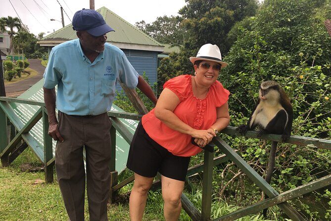 Grenada in a Nutshell- Deluxe Island Tour - Practical Insights for Travelers