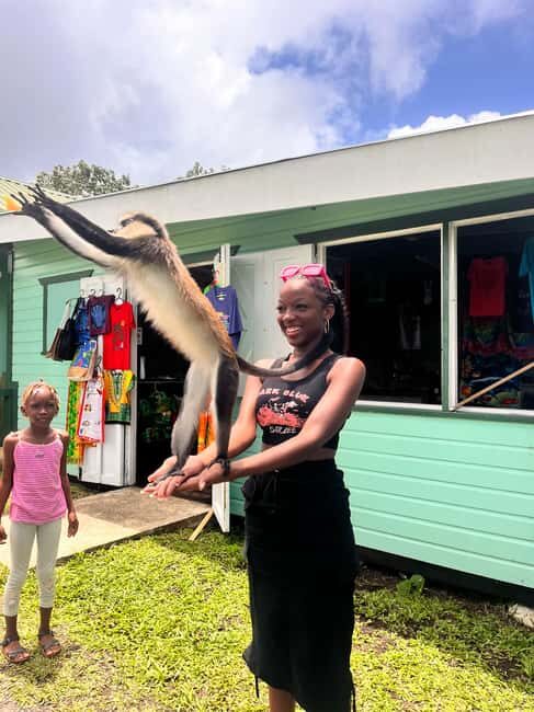 Grenada: Island Vibes in the Spice-Isle - Belmont Estate – A Farm and Chocolate Wonderland