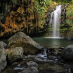 Grenada River Tubing and Annandale Falls Private Tour - Key Points