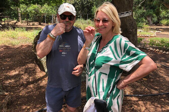 Grenada Spice Gardens, Rum & Chocolate Tour (Full/Half Day) - What the Tour Means for You