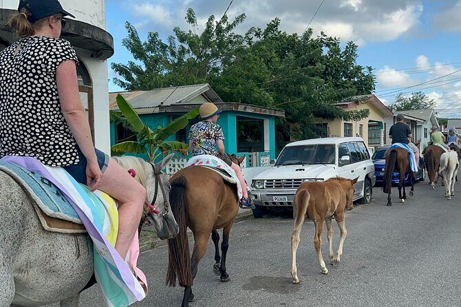 Gros Islet Village Horseback Riding run with Dore's riding Stable - What to Expect from Your Gros-Islet Horseback Adventure