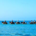 Group Beach and Ocean Horseback Adventure in Providenciales - Who Should Consider This Tour?