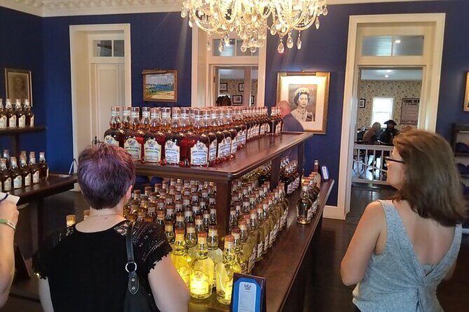 Group City Tour and Beach Experience from Cruise Port