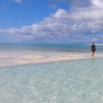 Group Reef, Beach and Sandbar Tour from Providenciales - In-Depth Look at the Itinerary and Experience