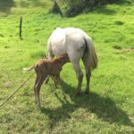Group Tour of Nature Park - A Deep Dive into the Wynne Farm Ecological Reserve Tour