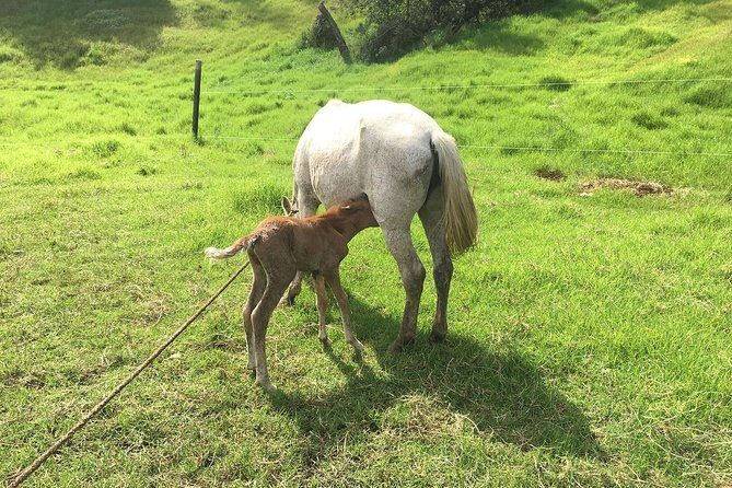 Group Tour of Nature Park - A Deep Dive into the Wynne Farm Ecological Reserve Tour