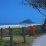 Grumari, Prainha + Pantanal Carioca - by Alan Denis - Who Should Consider This Tour?