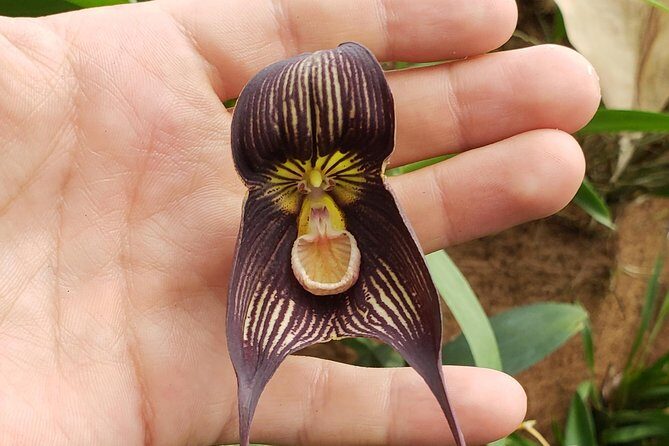 Gualaceo, Chordelg and San Bartolome craft making villagues - Analyzing the Value